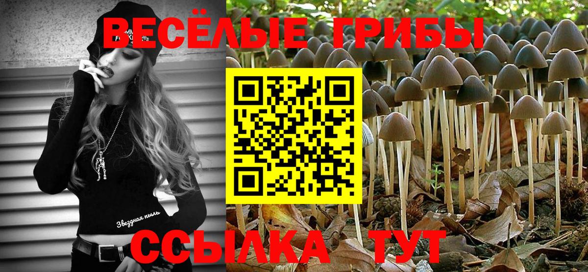 Псилоцибиновые грибы Magic Shrooms Всеволожск