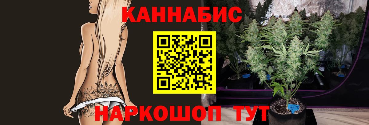 Бошки марихуана сатива  Бошки Шишки план  Бошки марихуана Bruce Banner  Вход с VPN  Всеволожск 